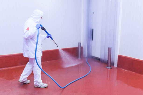 Pre-Holiday Cleaning in Bellwood, VA