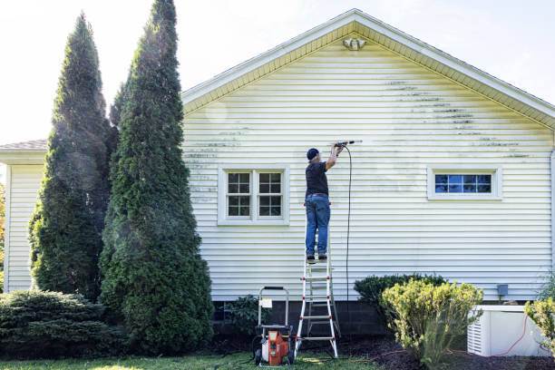 Best Driveway Pressure Washing  in Bellwood, VA